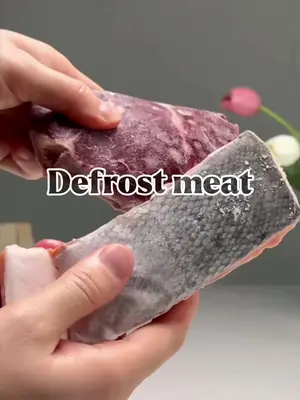 Defrost meat so fast  🥩 .. link 👇 or bio ☝️ https://amzn.to/3MPgBbo .  .  #meat #defrosting #viral #holiday #homegadgets