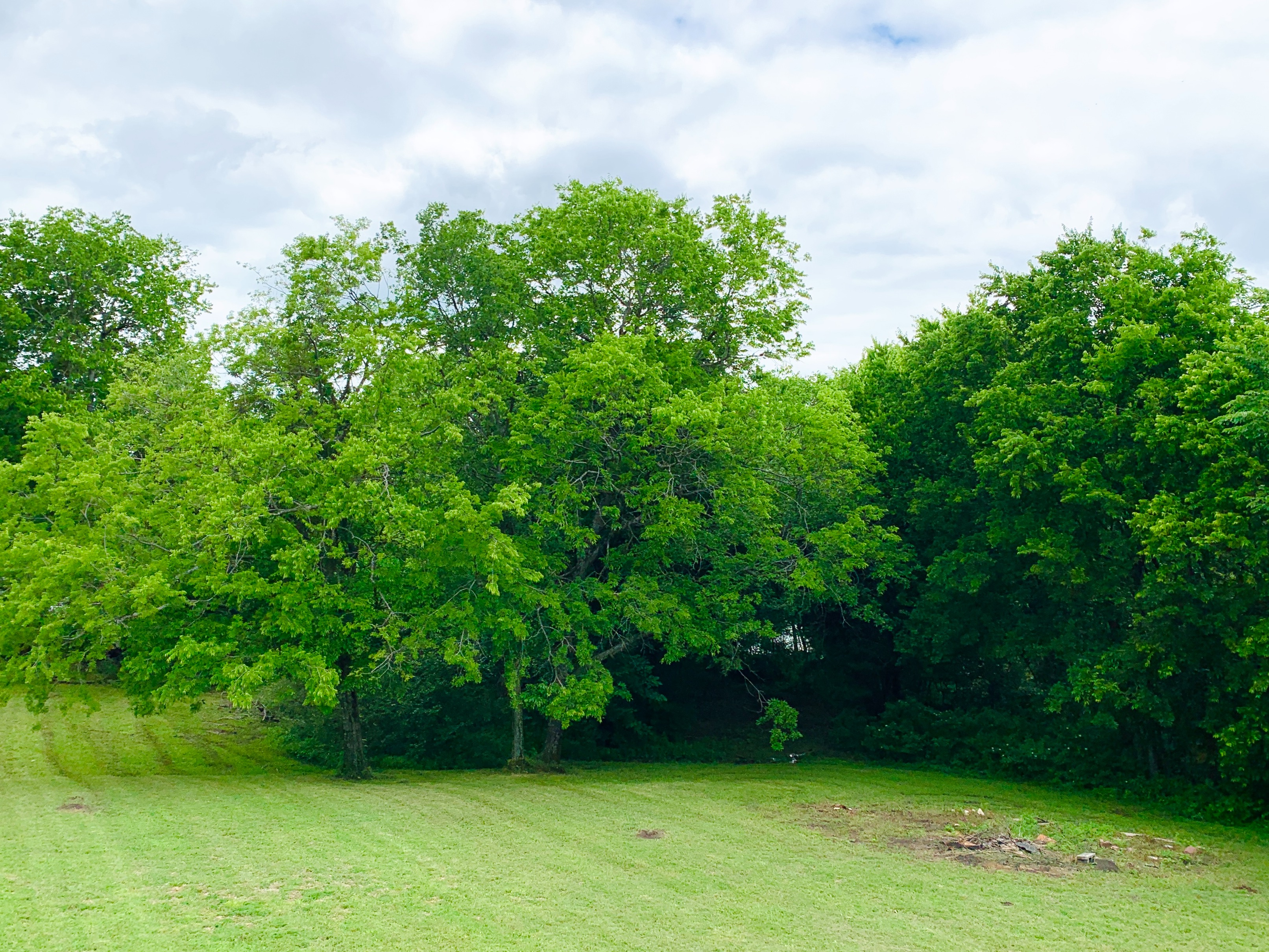 PAY~Cash App | $MemoryWortham  thumbnail