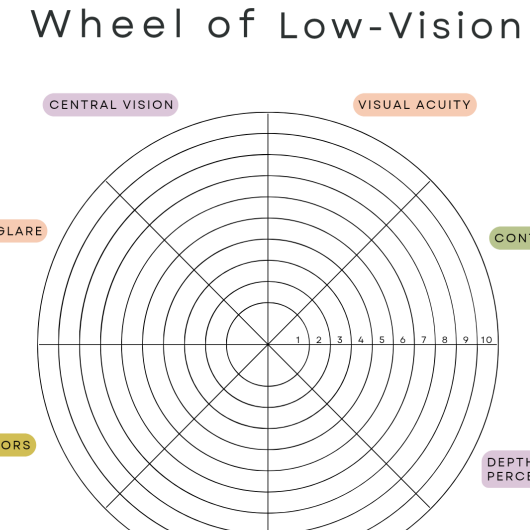 Professional Low Vision Workshop: The Wheel | $97 thumbnail
