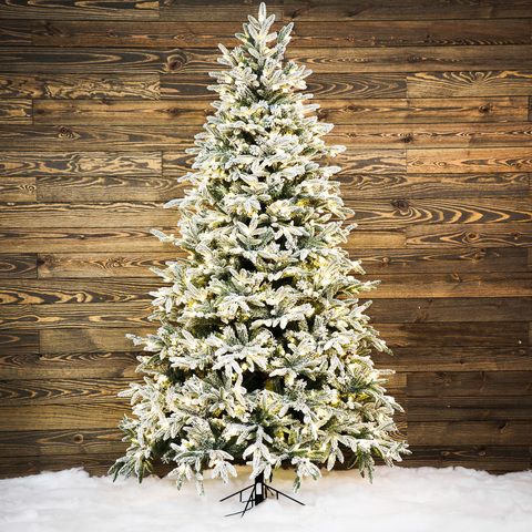 Christmas Tree thumbnail