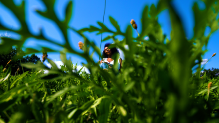 Sol.Rayne | Full Bloom (Trailer) thumbnail