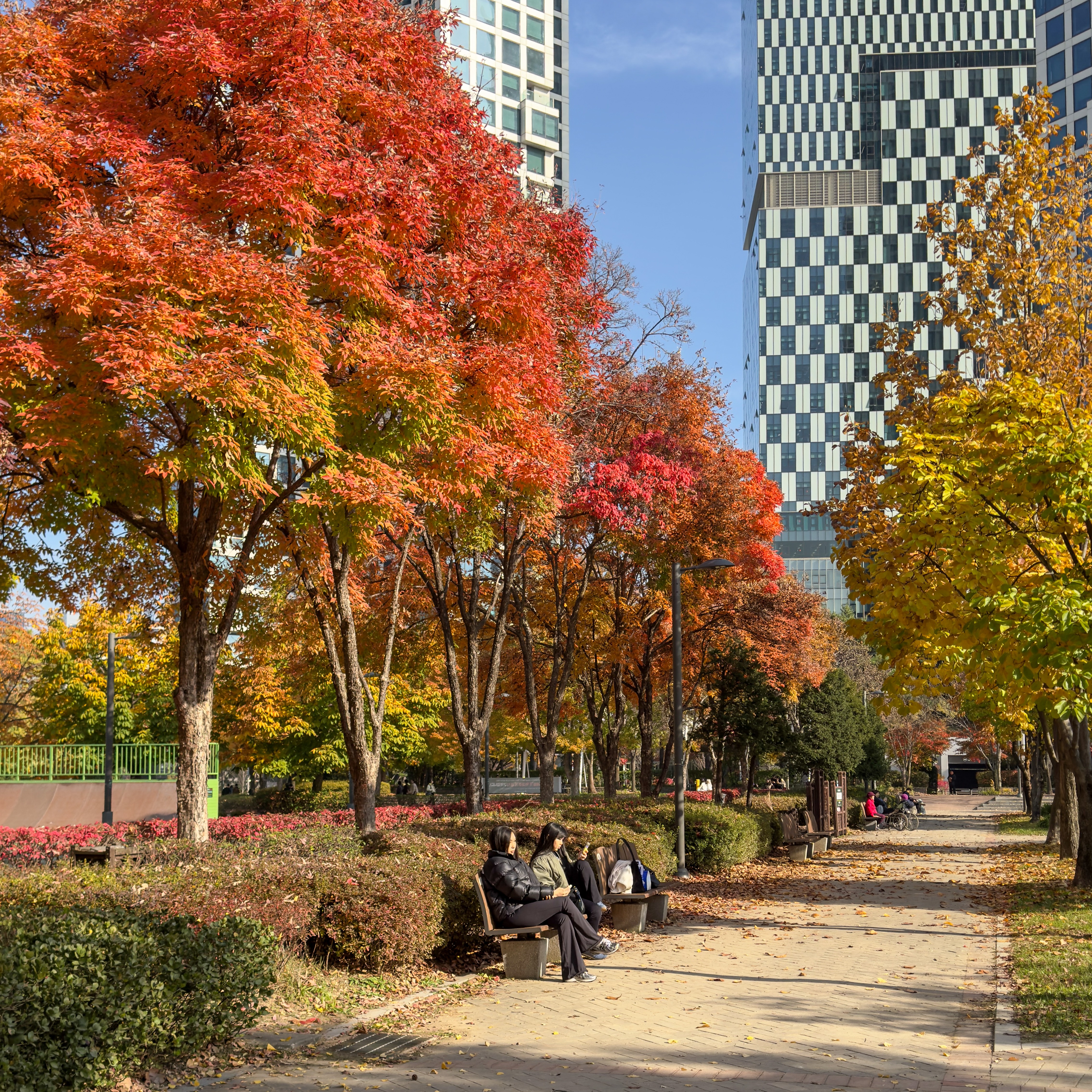 성수 데이트코스 thumbnail