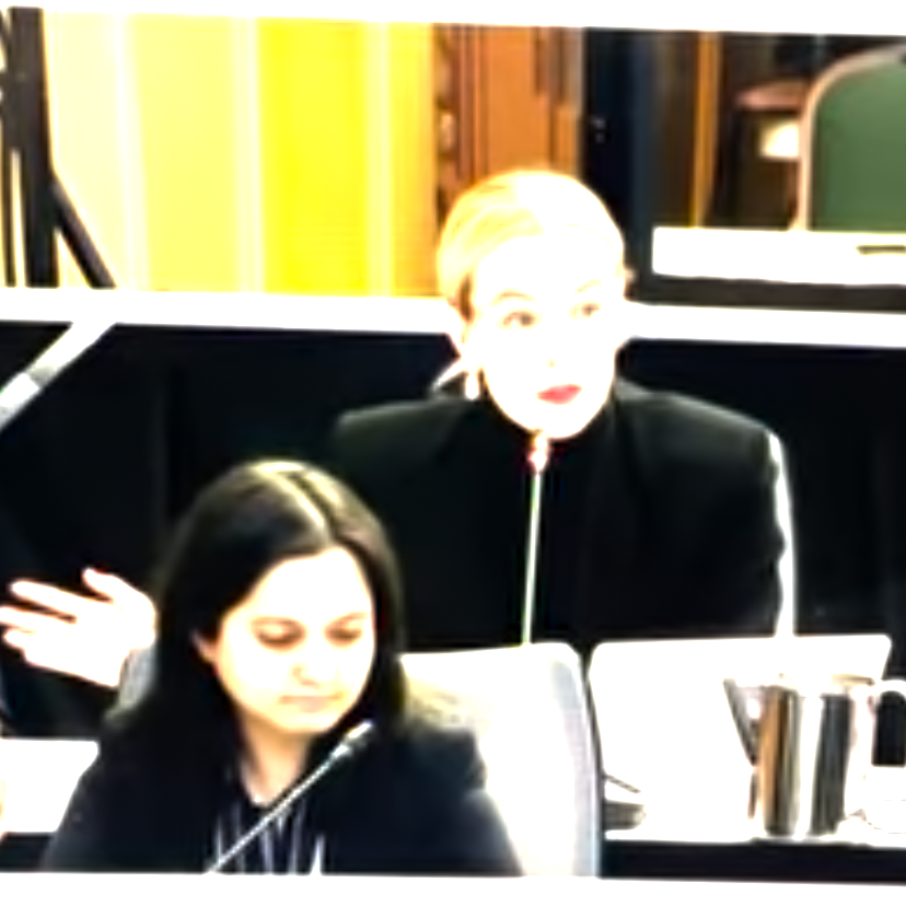 Democratic Spaces as part of the Human Rights Coalition  thumbnail