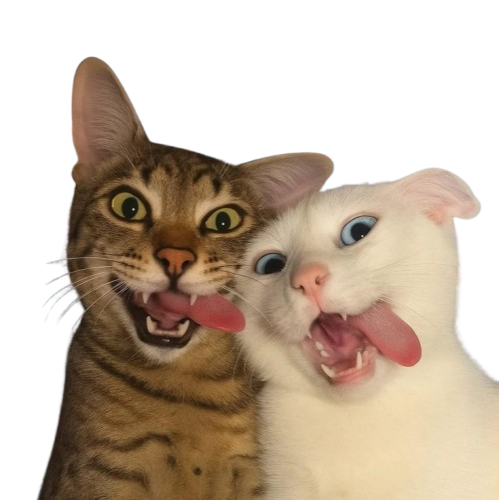 CHAT 24 JAM ONLINE thumbnail