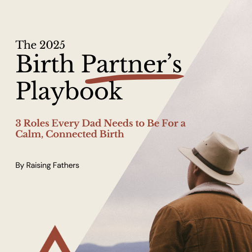 FREE: Birth Partner's Playbook thumbnail