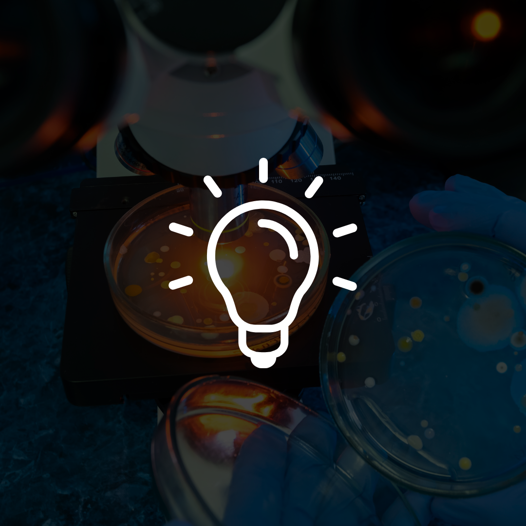 Nossos Serviços thumbnail