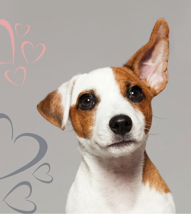 Are you ready to Listen? thumbnail