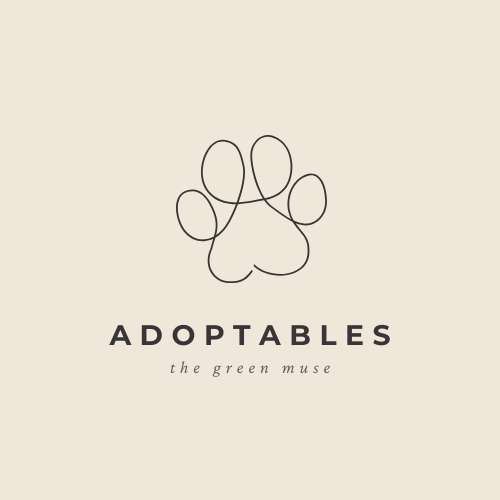 Green Muse Adoptables - Adoptable dogs, cats & rescue networking thumbnail