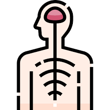 FREE NERVOUS SYSTEM TOOLKIT ❤️ 3 LIFE CHANGING TOOLS  thumbnail