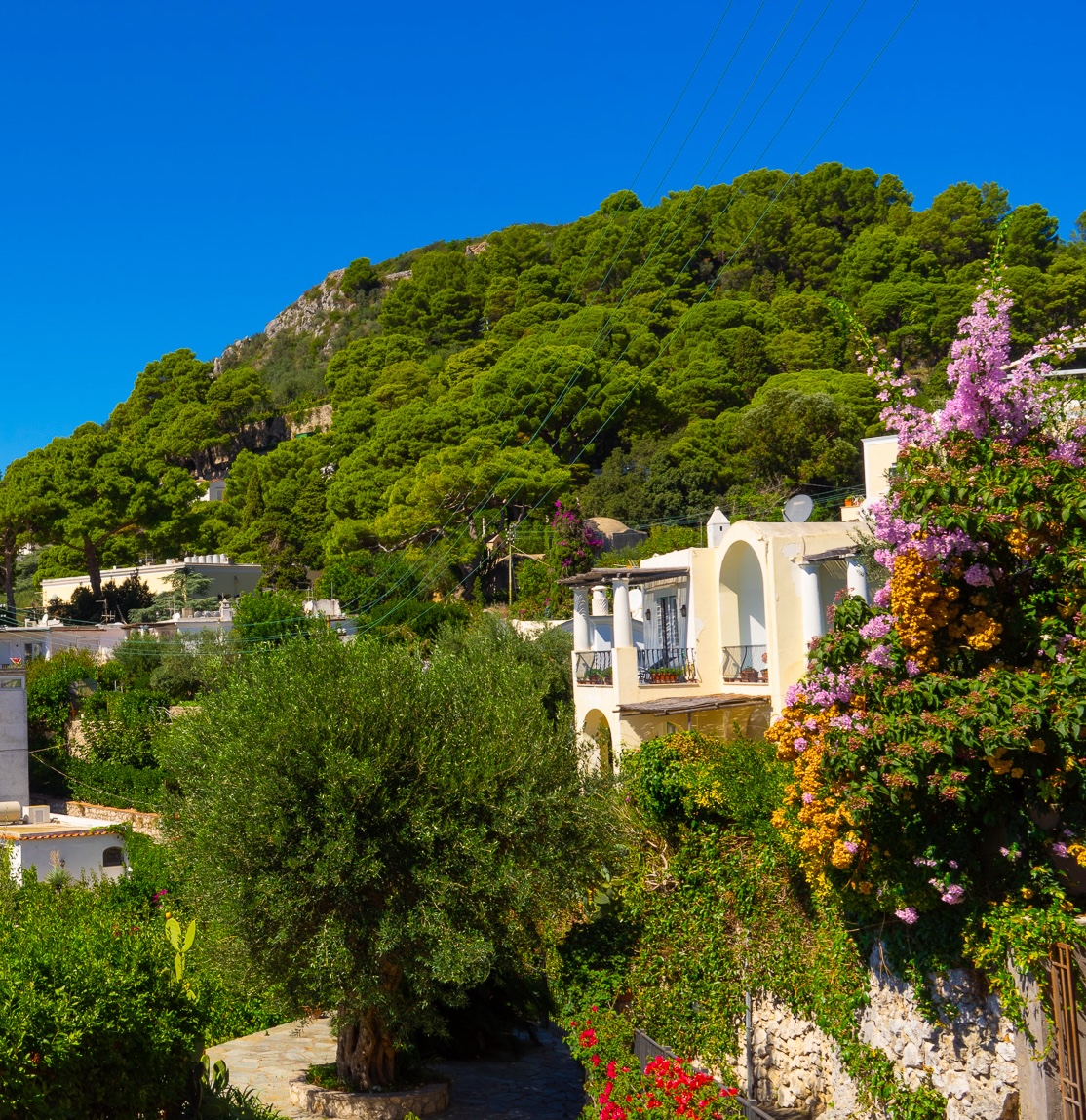 Capri thumbnail