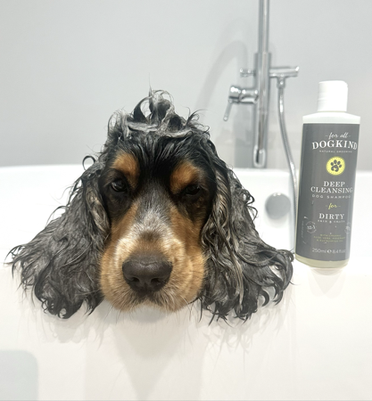 For All Dog Kind - code JASPER thumbnail