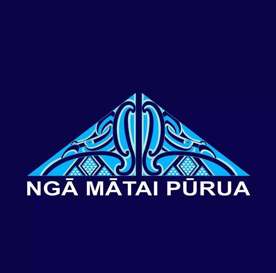 Sun Dec 15th: Ngā Mātai Pūrua End of Year Showcase  thumbnail