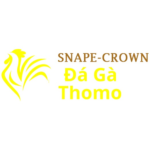 Đá Gà Trực Tiếp Thomo thumbnail