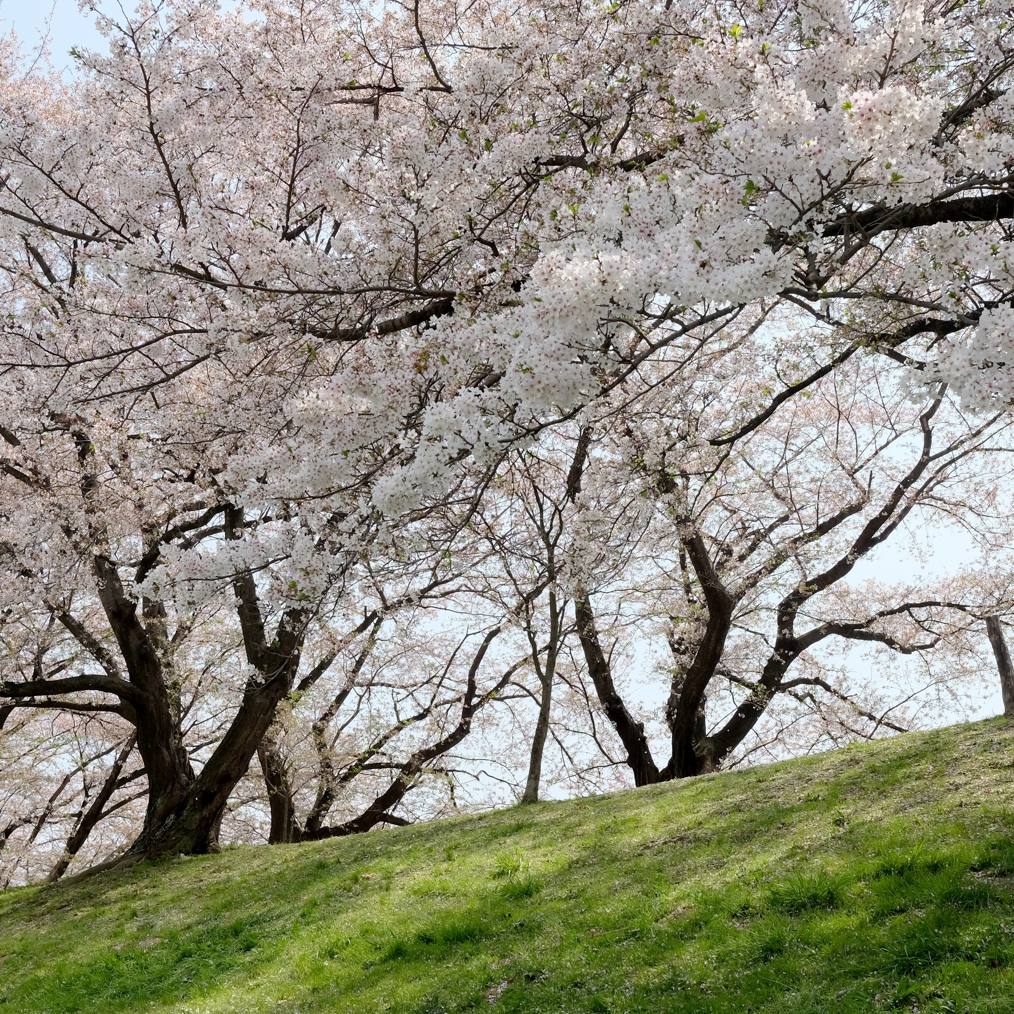 Buy My Photos thumbnail