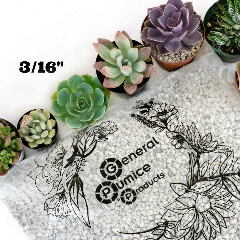 Succulent Supplies thumbnail