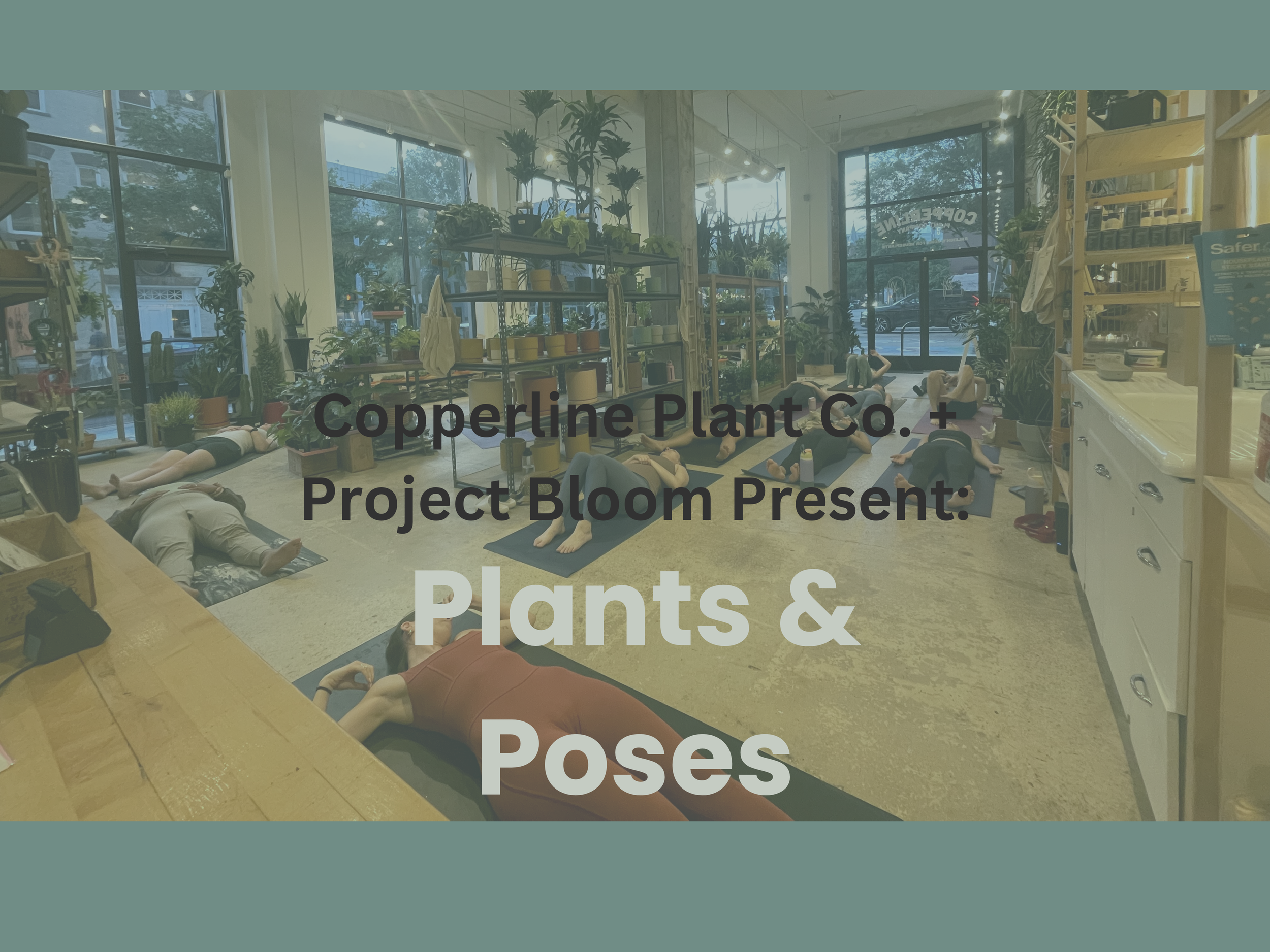 Plants & Poses — April 8th, 10-10:45 AM @ Copperline Plant Co. thumbnail