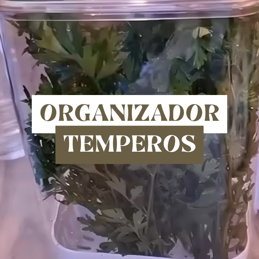 ORGANIZADOR DE TEMPEROS CLEAR FRESH 2,3L | Amazon.com.br thumbnail