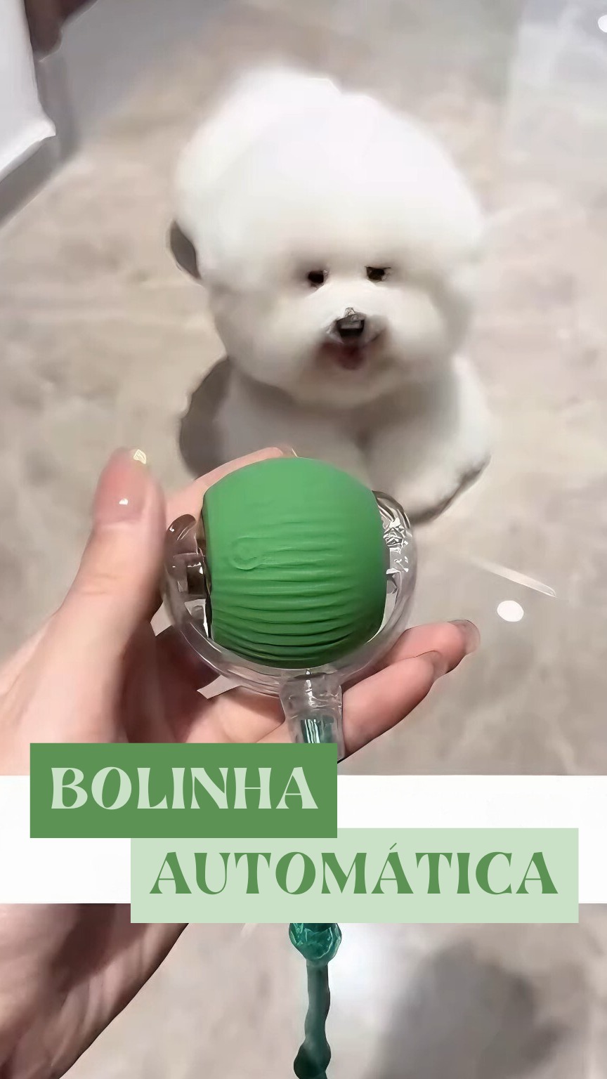 Brinquedos De Gato Inteligente Automáticos Para Gatos Rolantes Treinamento De Gatinhos Auto-Moventes thumbnail