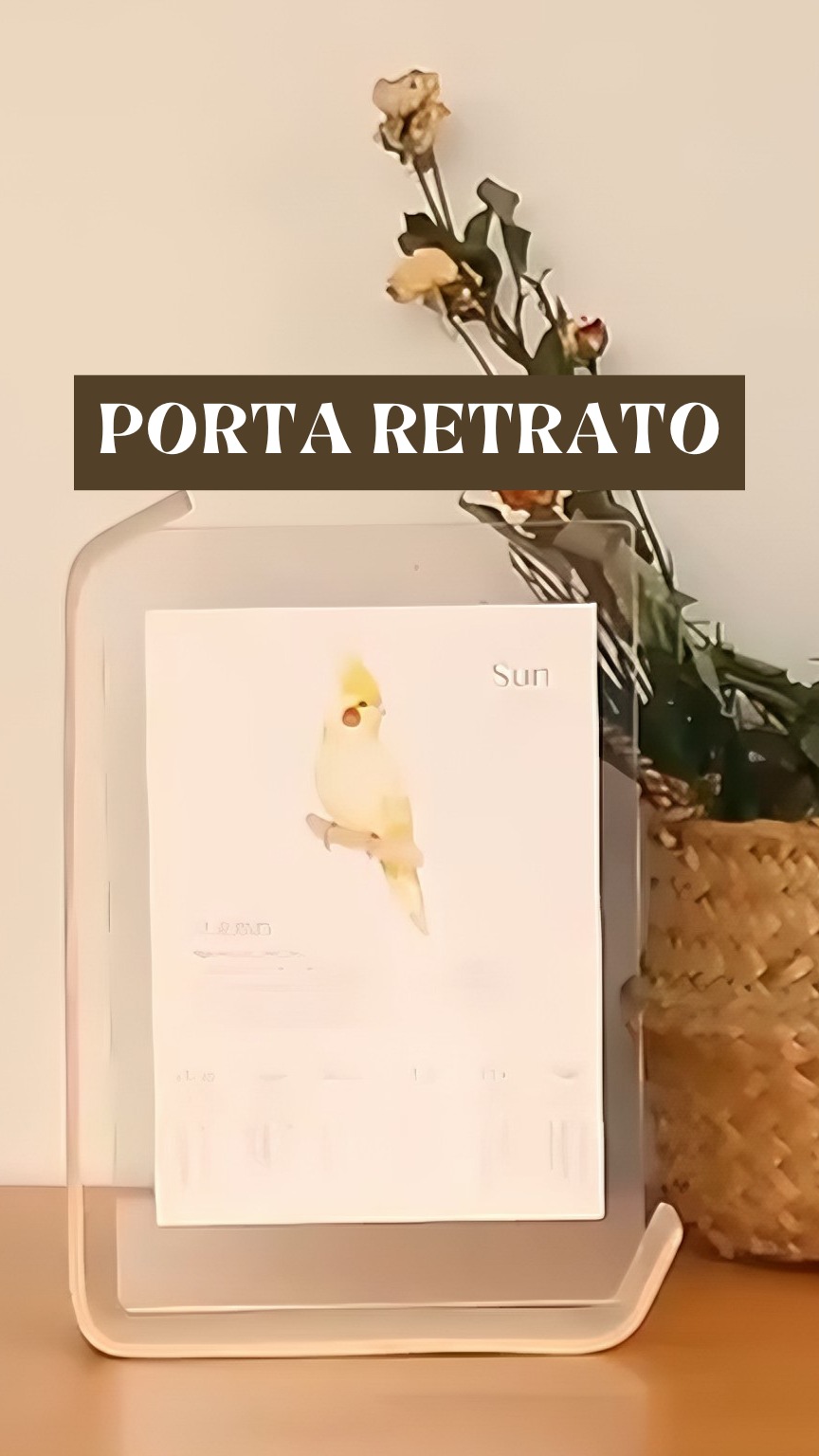 Moldura Decorativa De Acrílico Com Formato De Flor Seca/6 Polegadas Estilo Nórdico Para Mesa/Decoração Da Casa thumbnail