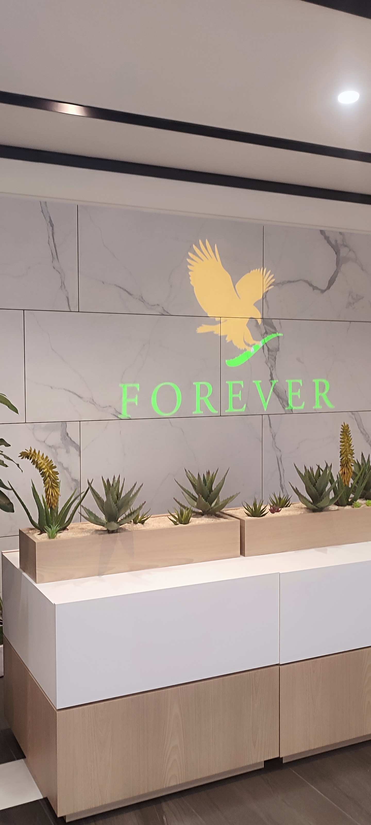 Forever Living Products thumbnail