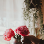 Creative supplies  thumbnail