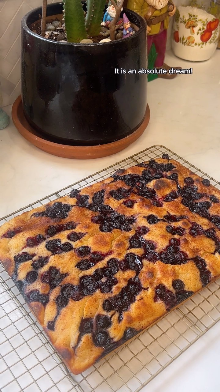 Whether you’re fairly new to your sourdough journey, like I am, or a seasoned pro - you have to try this blueberry sourd