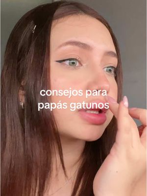 No soy capaz de dejar a mis gatitos afuera y todo lo tengo dentro del apartamento y también aprovecho y respondo algunas