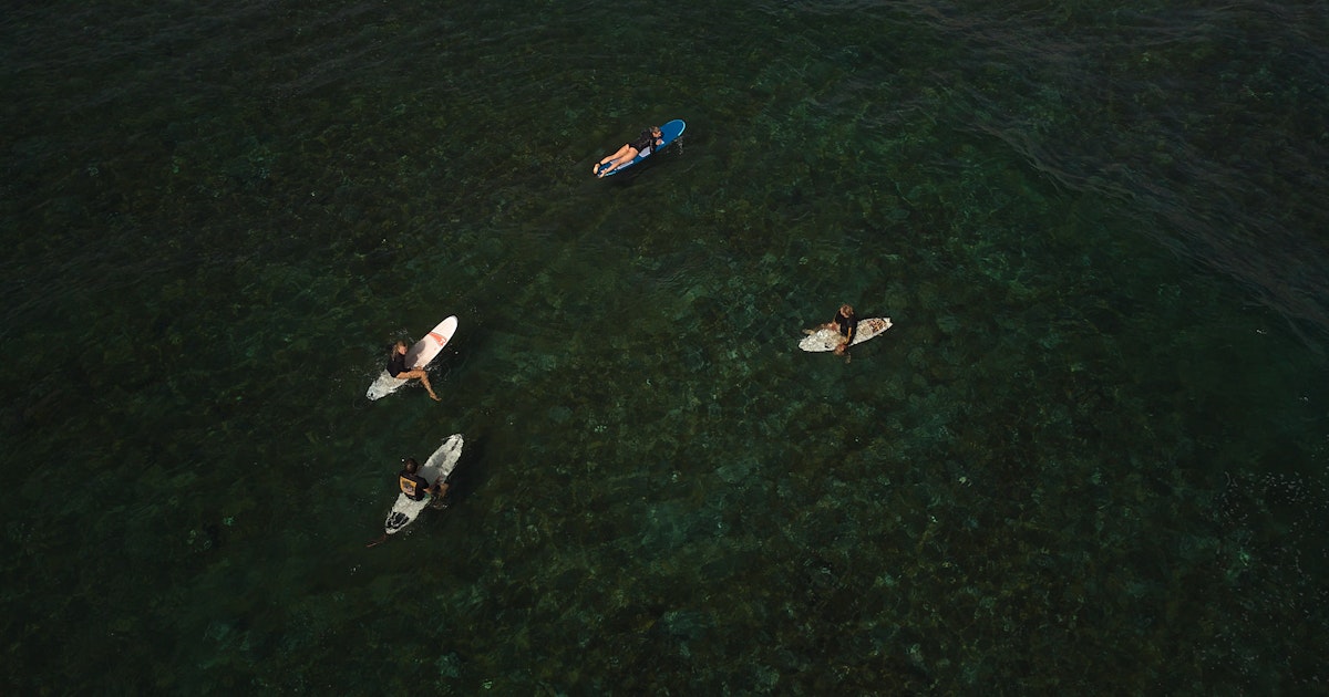 Sustainable Surf Camp in Tenerife thumbnail