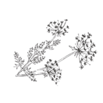 Website thumbnail