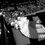 Leave a review on google  thumbnail