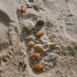 Travel Tips & Blog posts thumbnail