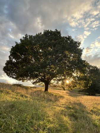 Recibe descuentos, ebook gratuitos e información mensual! ✨ en mi NEWSLETTER  thumbnail