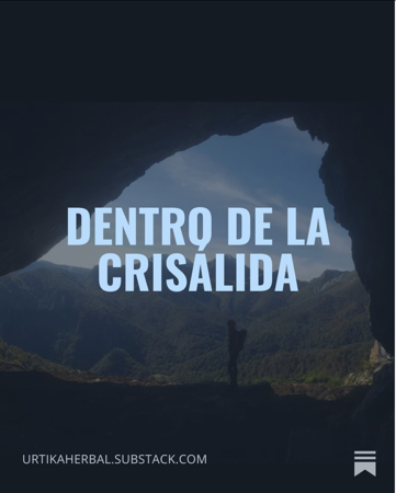 Léeme en Substack 📝🖋️📜 thumbnail