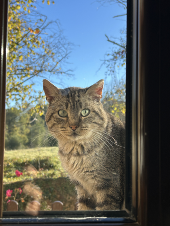 Escríbeme al WhatsApp 📲 thumbnail