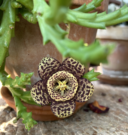 TALLERES: formación online 💻 thumbnail