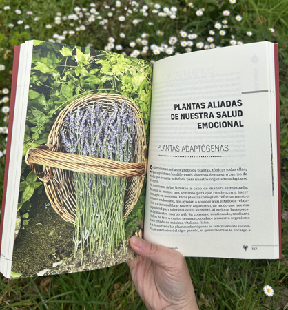 LEE GRATIS 🦋 ALQUIMIA EMOCIONAL thumbnail