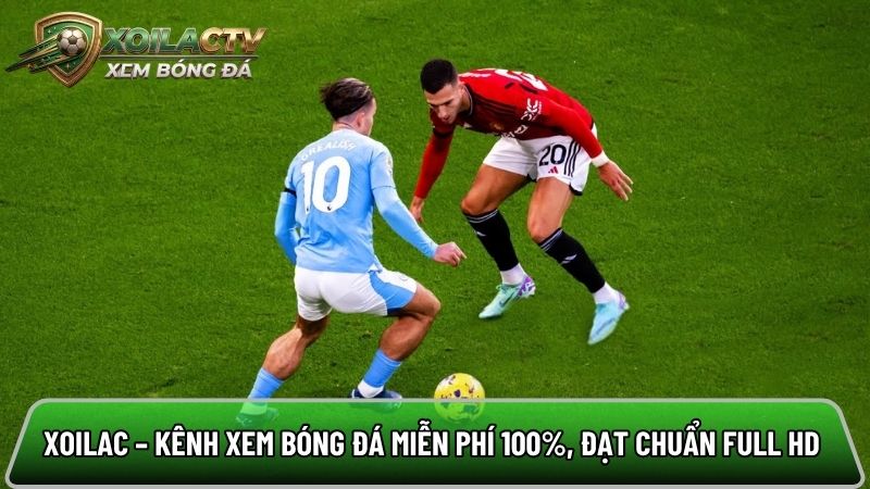 Xoilac TV - Xem trực tiếp bóng đá World cup 2026 không chặn thumbnail