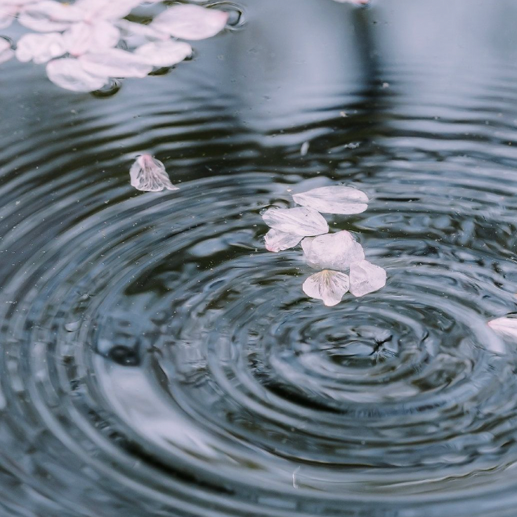 JOIN THE NEW MOON RITUAL CIRCLE thumbnail