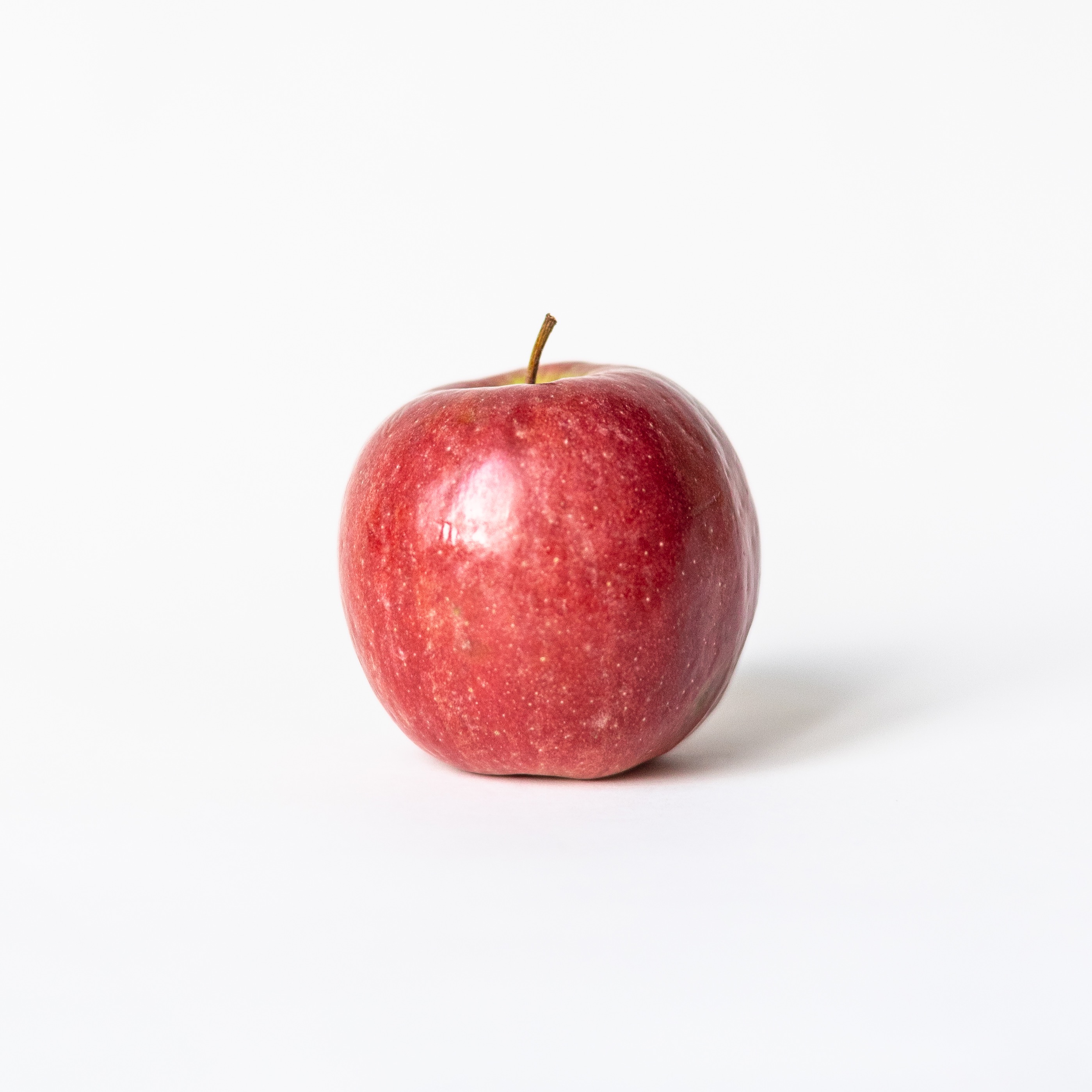 Portrait / product photography thumbnail