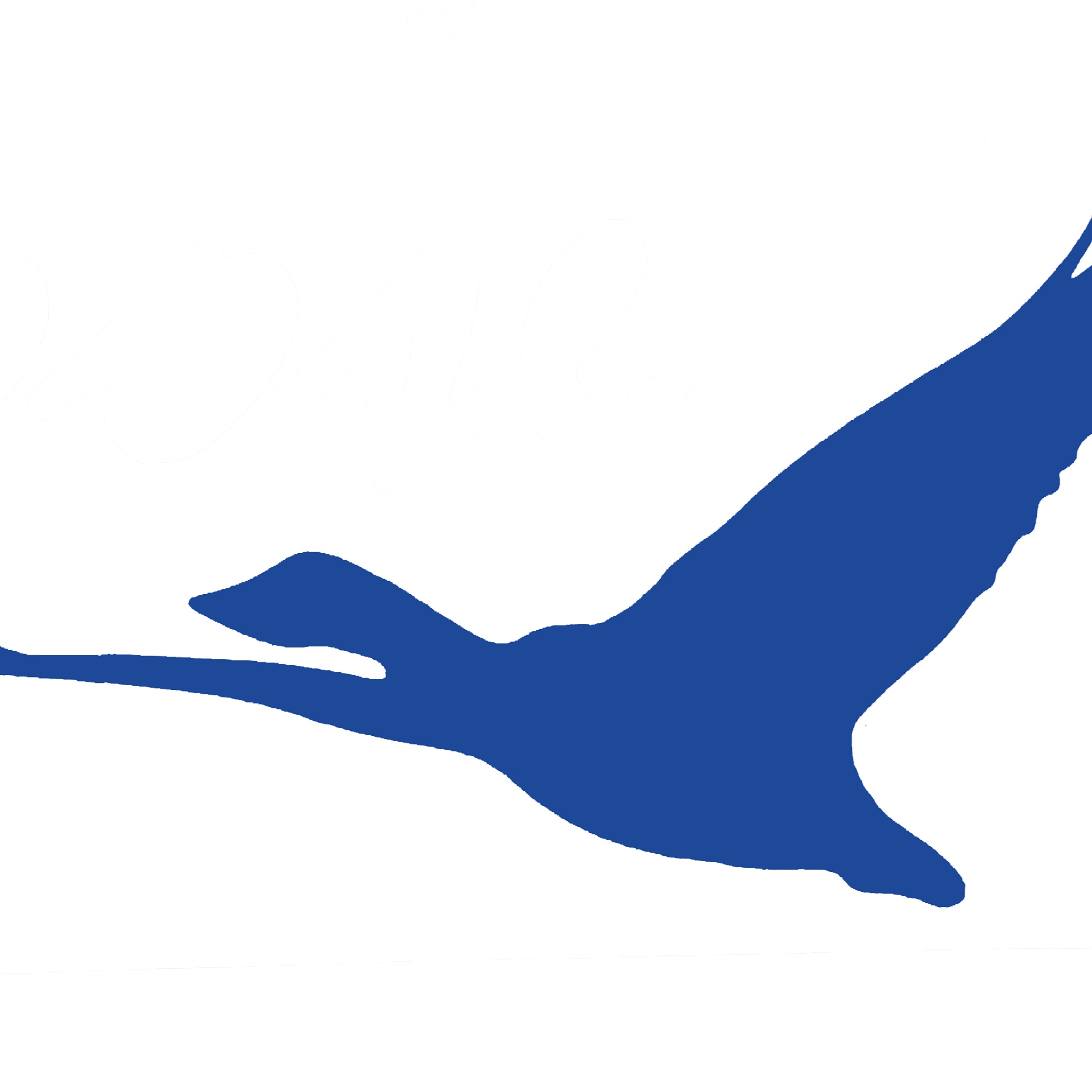 I'm a proud member of the Blue Goose Gallery of Artists on the Lake Almanor Peninsula  thumbnail