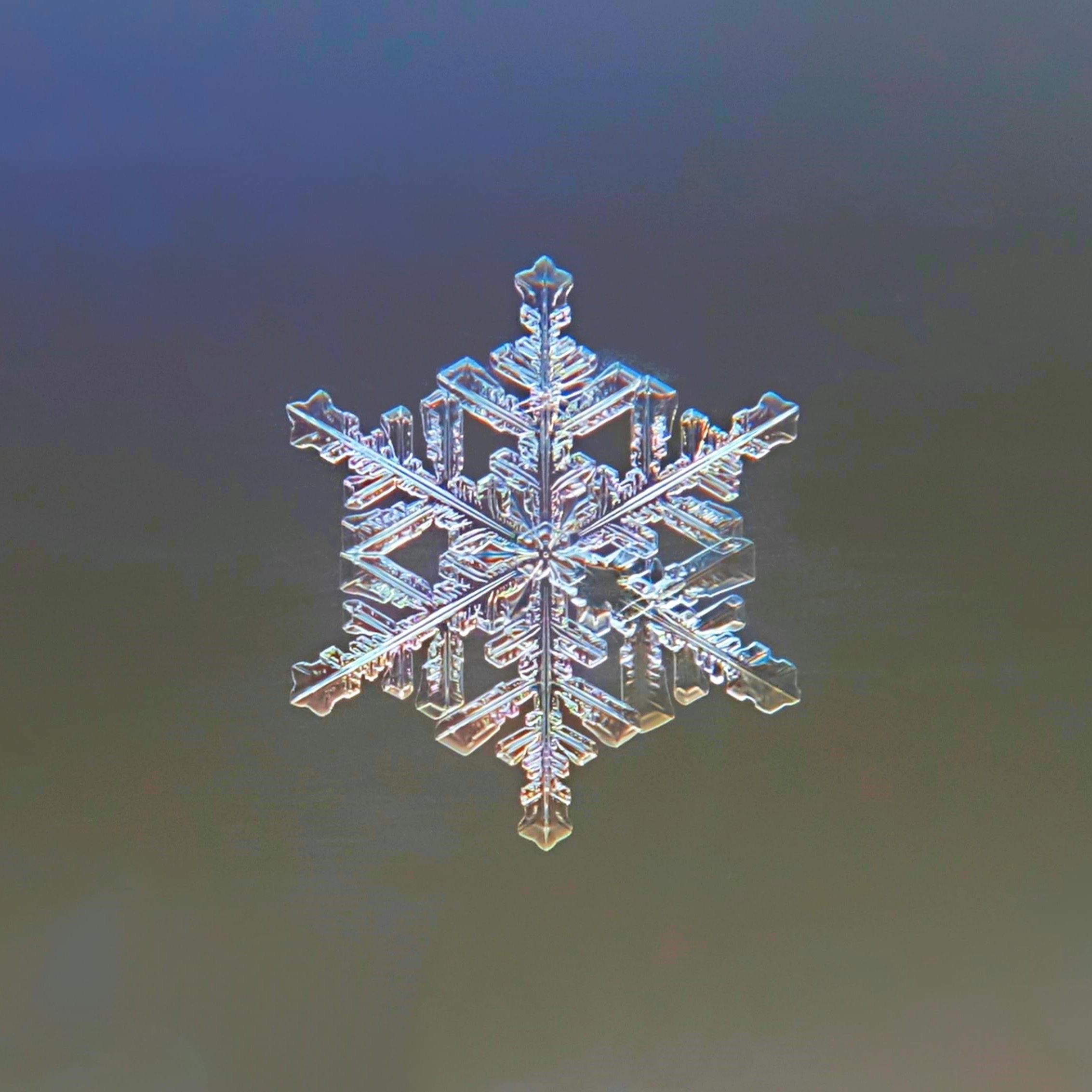 Best Products Winter (Blogs) thumbnail