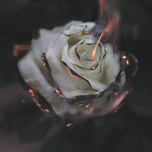 The Flame Trick: Feature Film thumbnail