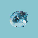 Tumblr thumbnail