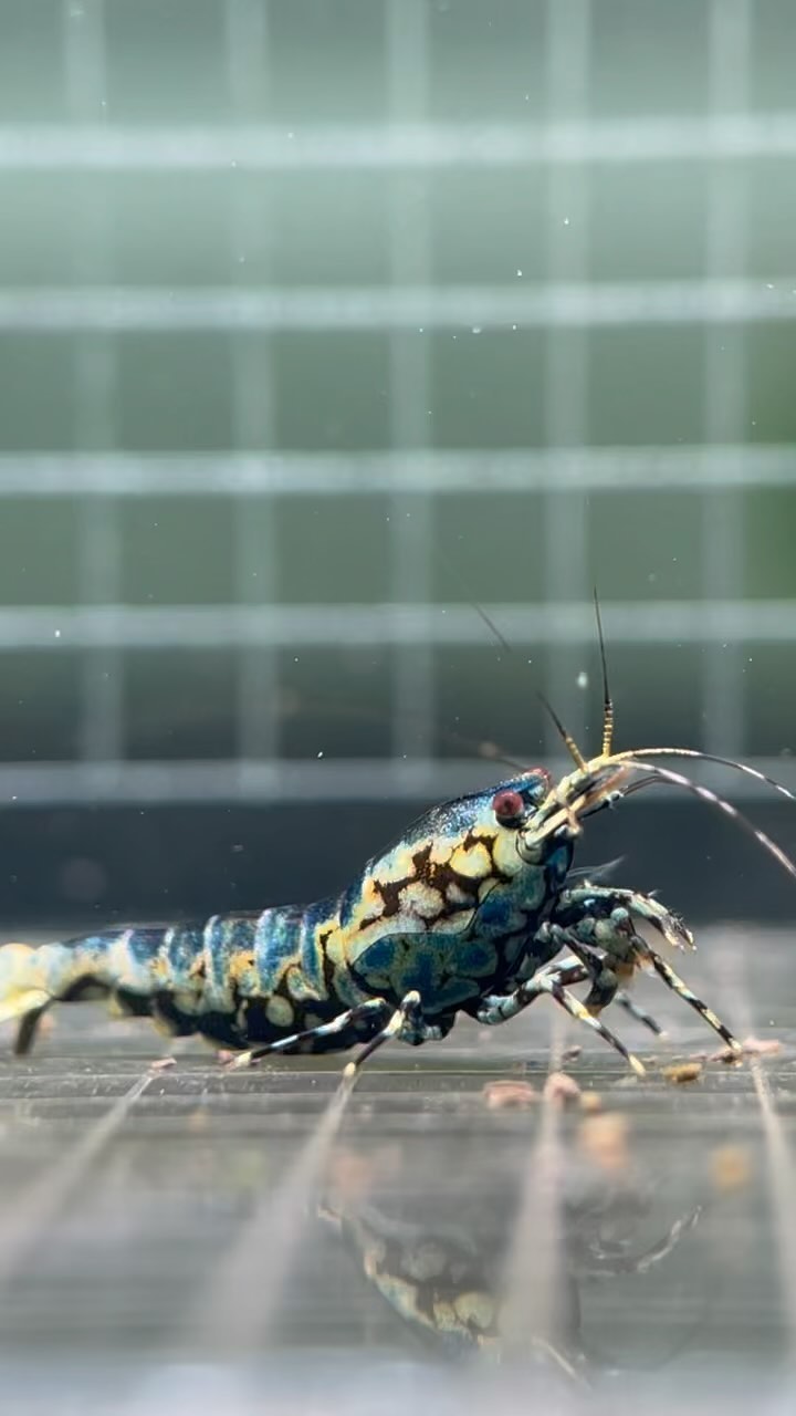 Dope looking ❤️‍🔥