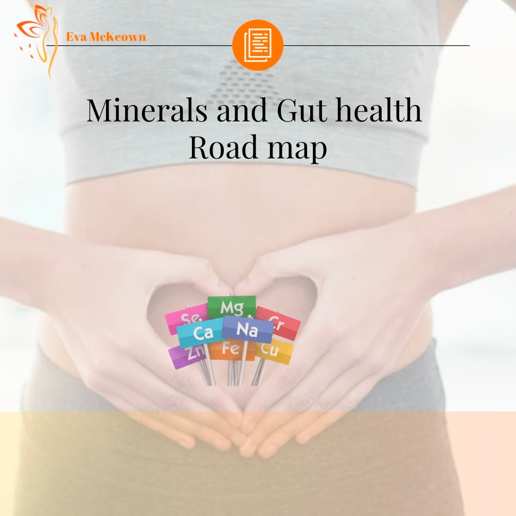 Minerals and Gut health Roadmap  thumbnail