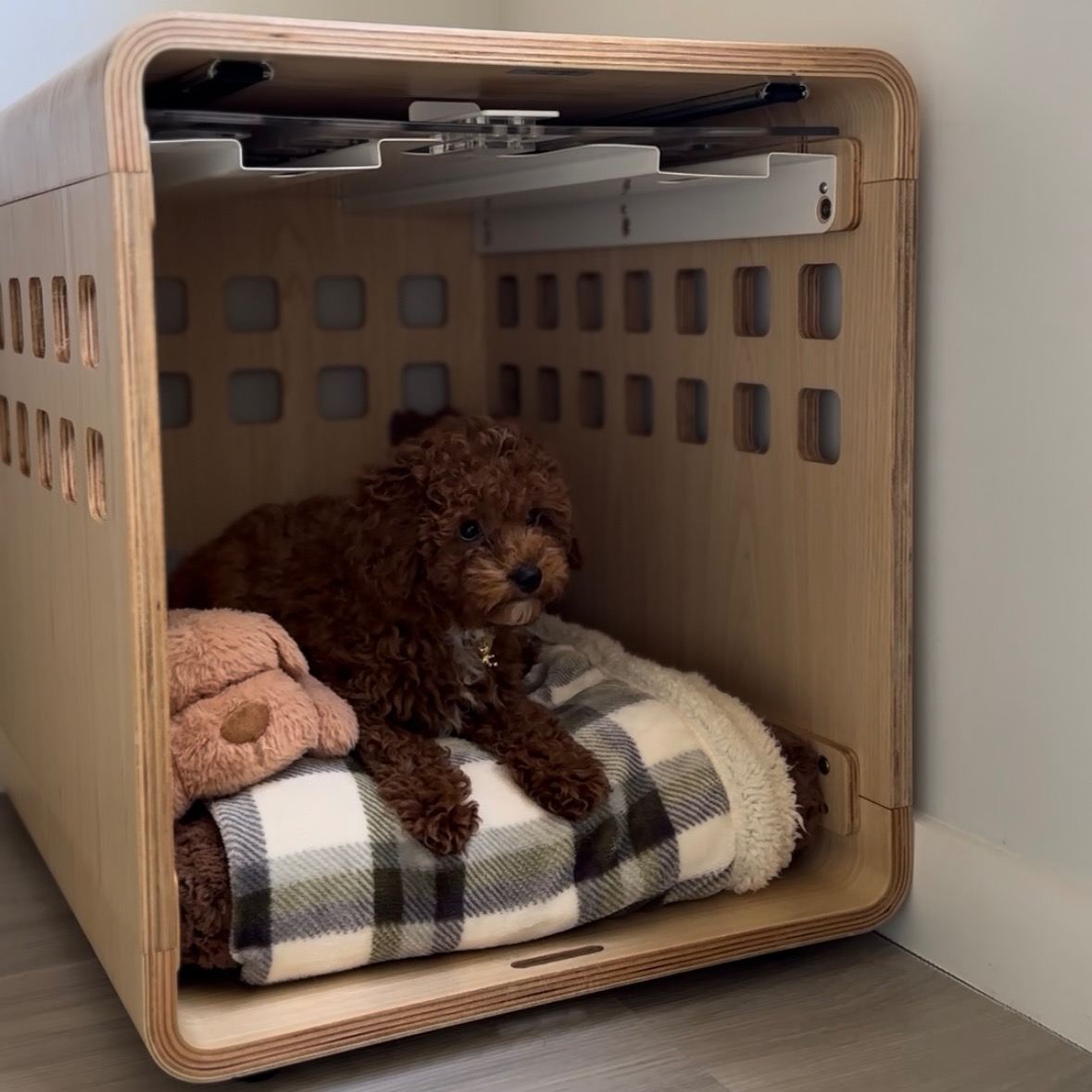 Bear’s Crate thumbnail