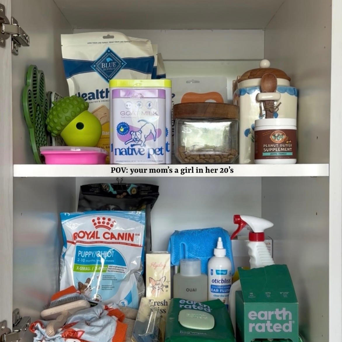 Bear’s Cabinet thumbnail