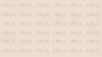 BioSite banner for @PINA