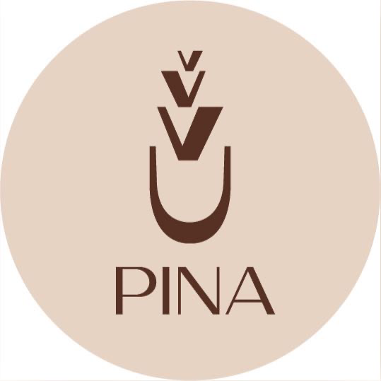 BioSite profile picture for @PINA