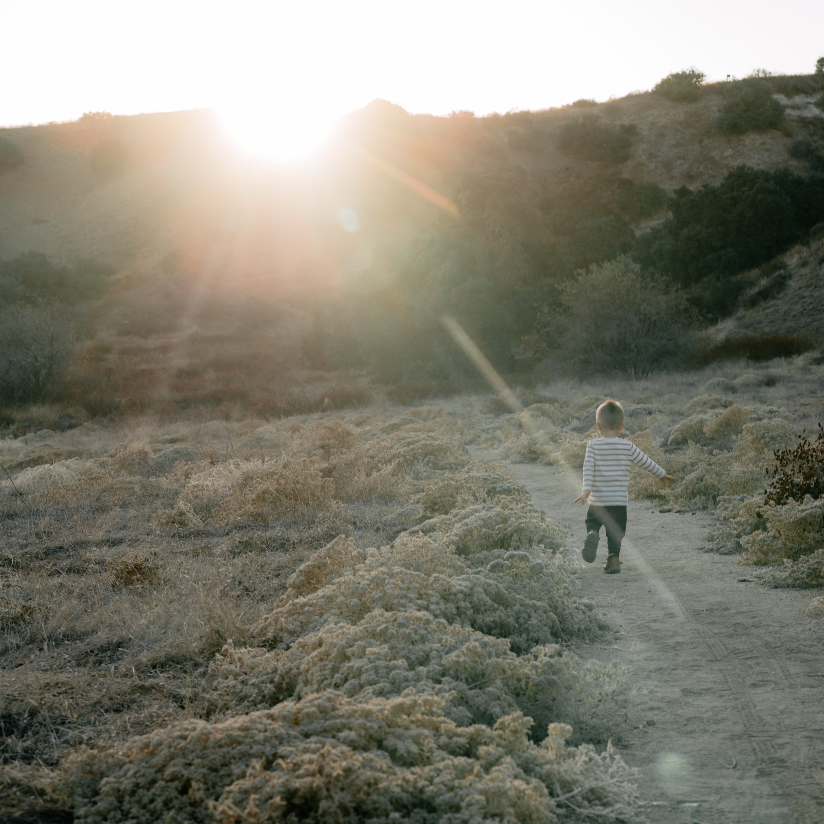 🍁FALL MINI SESSIONS - 2025🍁 thumbnail